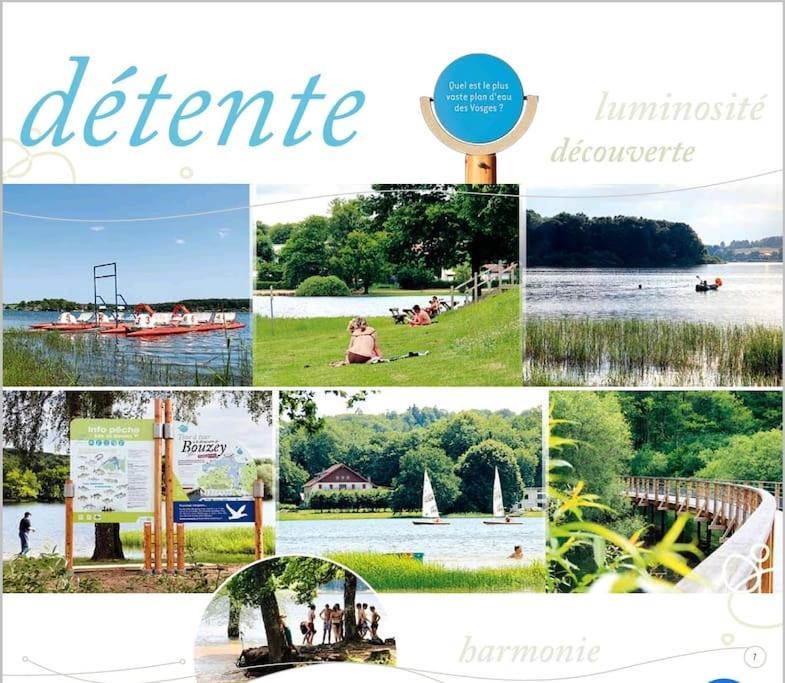 Appartement 2 Pieces Pres Du Lac De Bouzey Sanchey Экстерьер фото